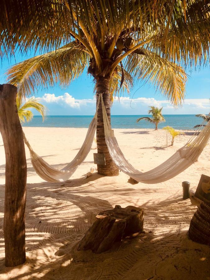 Caribbean Beach Cabanas Placencia 외부 사진