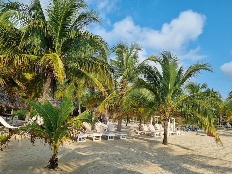 Caribbean Beach Cabanas Placencia 외부 사진