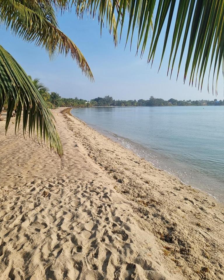 Caribbean Beach Cabanas Placencia 외부 사진