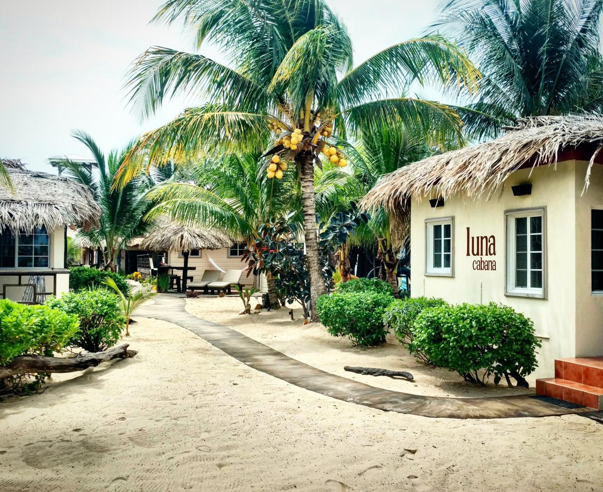 Caribbean Beach Cabanas Placencia 외부 사진
