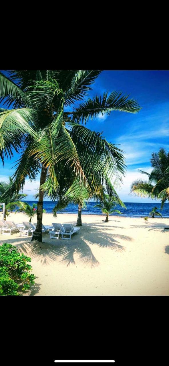 Caribbean Beach Cabanas Placencia 외부 사진